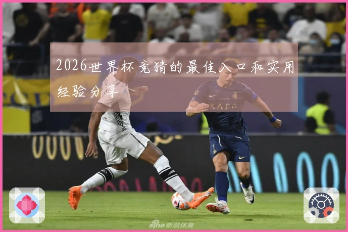 2026世界杯竞猜的最佳入口和实用经验分享
