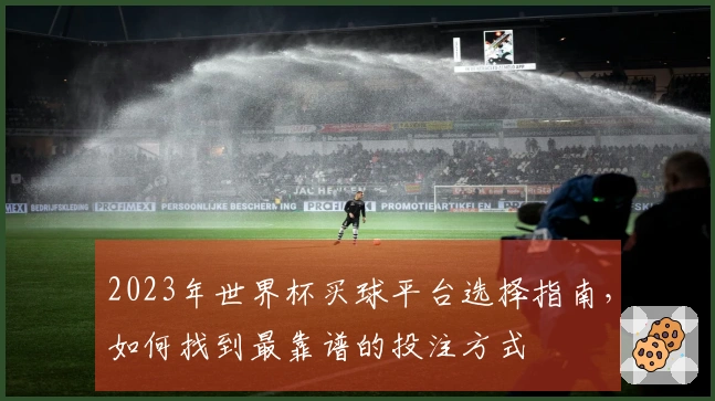 2023年世界杯买球平台选择指南，如何找到最靠谱的投注方式