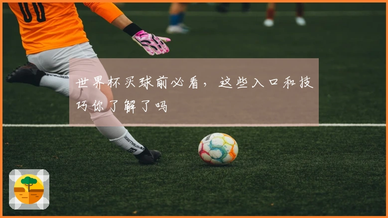 世界杯买球前必看，这些入口和技巧你了解了吗