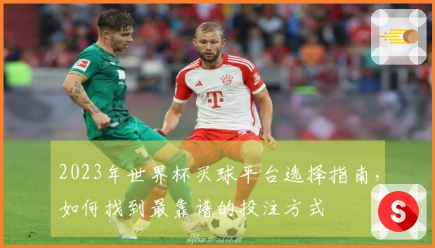 2023年世界杯买球平台选择指南，如何找到最靠谱的投注方式